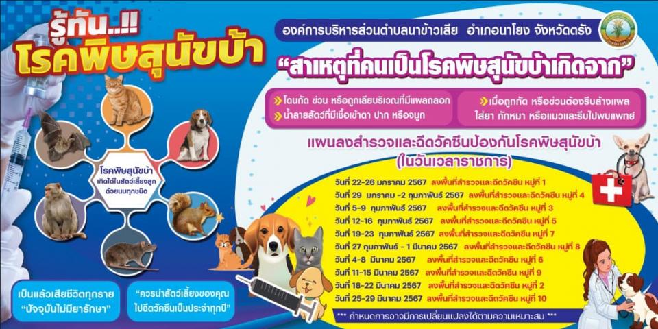 Ἱŧ���Ǩ��Щմ�Ѥ�չ��ͧ�ѹ�ä����عѢ��� ��Шӻէ�����ҳ �.�. 2567